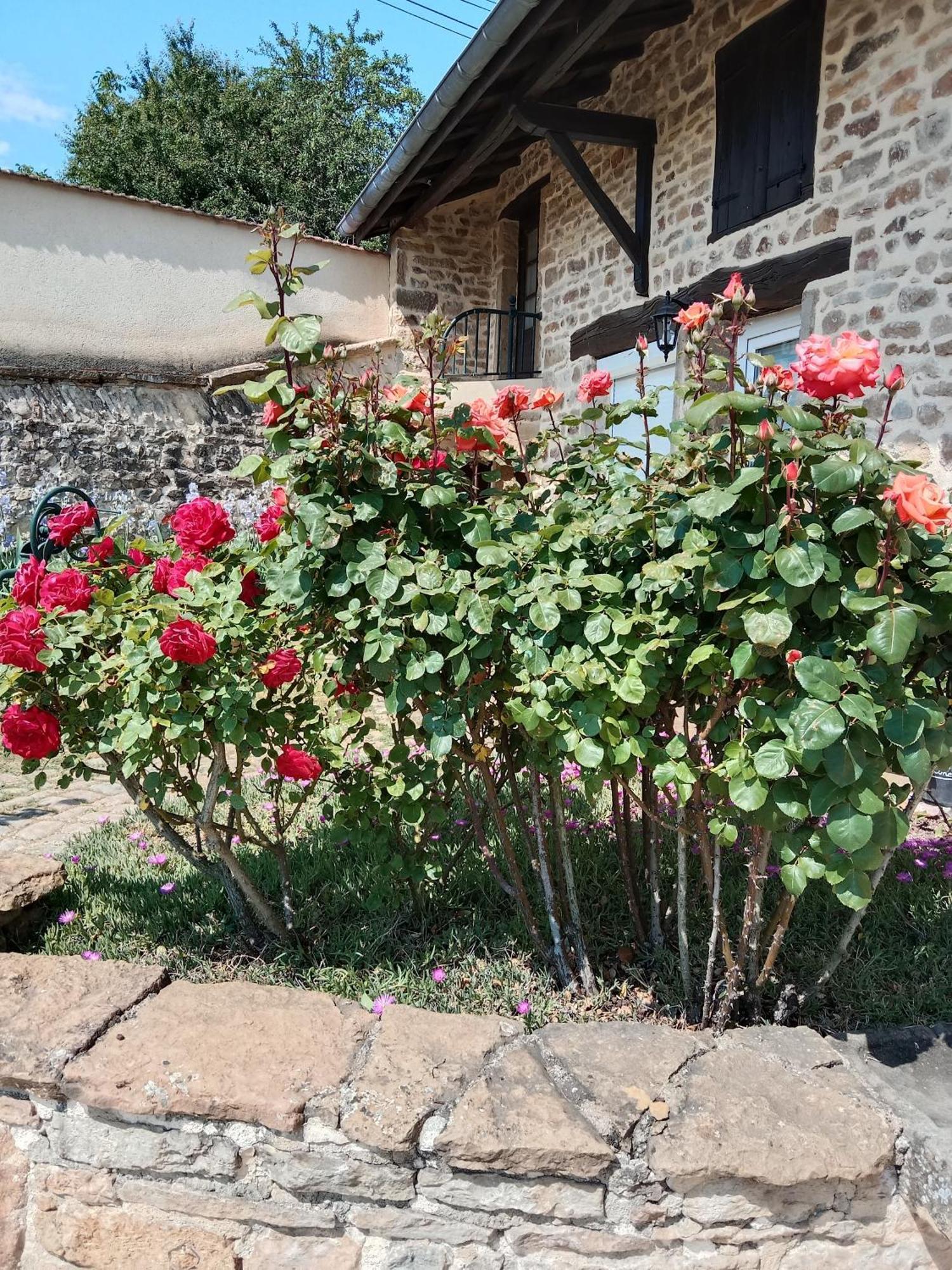 Bed and Breakfast L Olivier De St Leger Chateau  Esterno foto